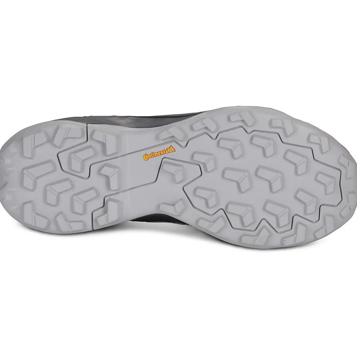 adidas TERREX TERREX SKYCHASER AX5