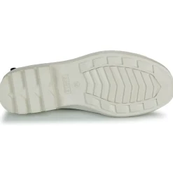 Aigle CARVILLE