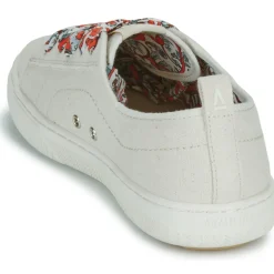 Armistice NOVO ONE