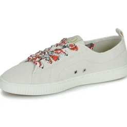 Armistice NOVO ONE