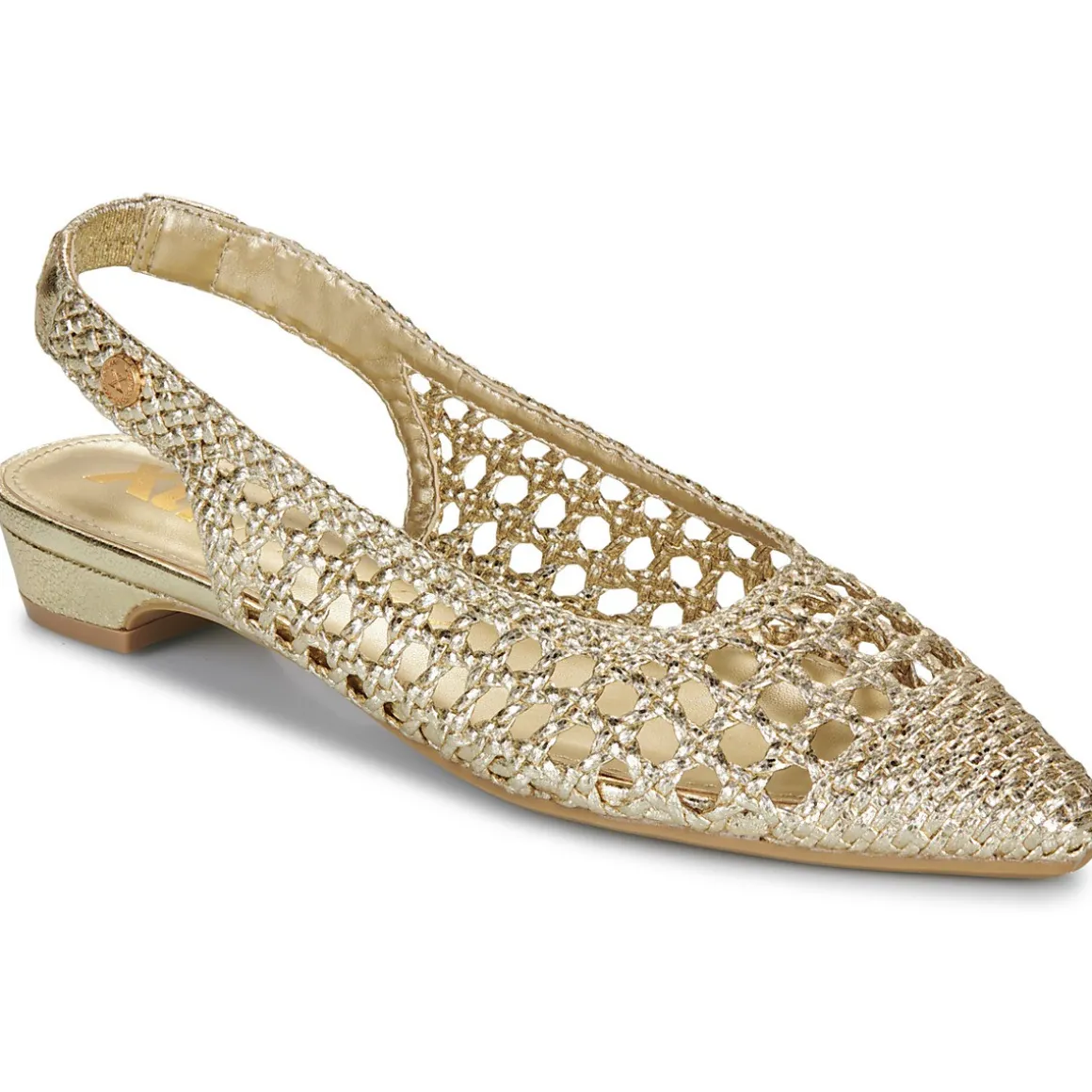 Ballerinaer Xti