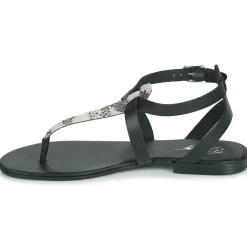 Betty London ORIOUL