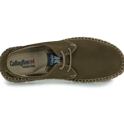 CallagHan 84702