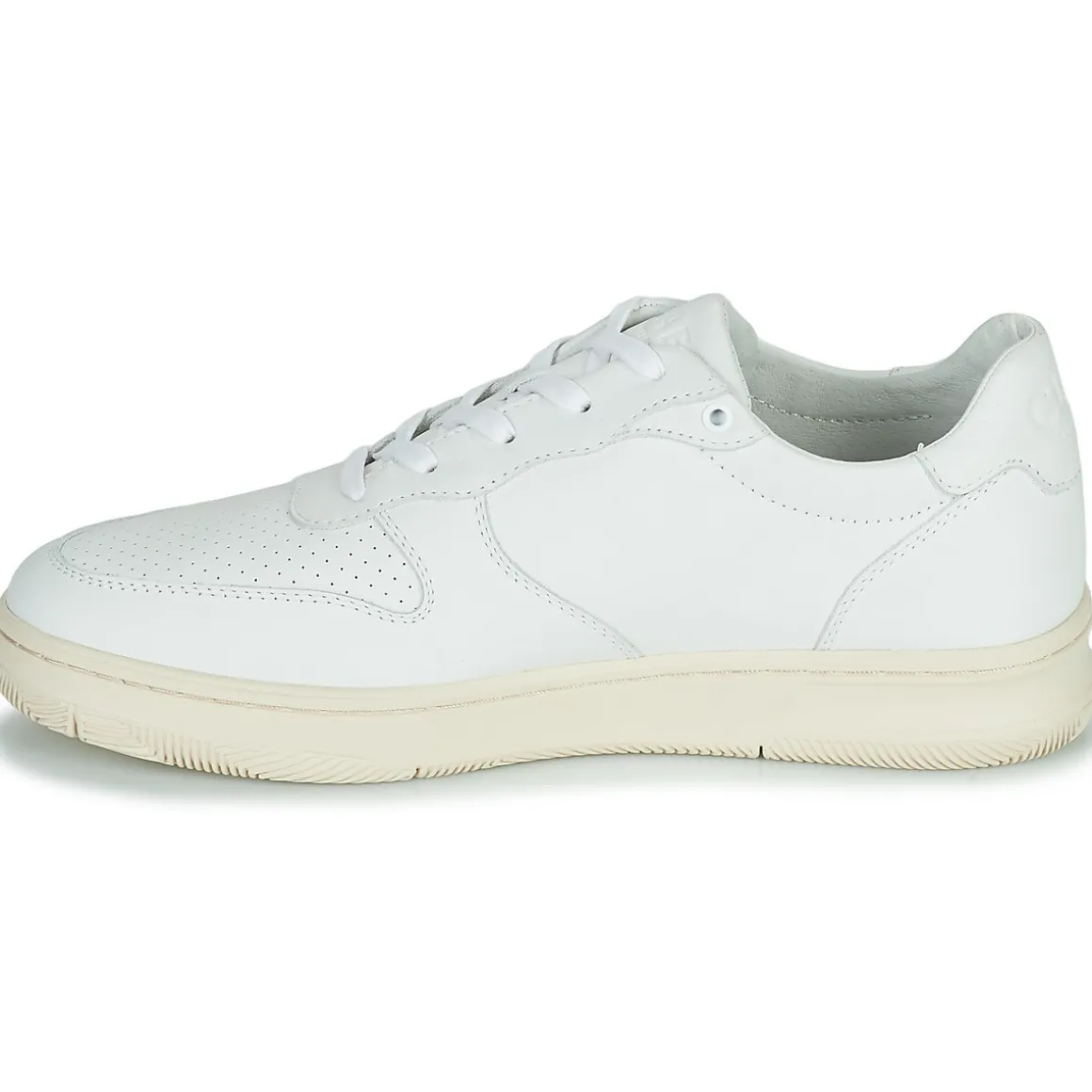 Clae MALONE