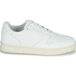 Clae MALONE