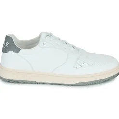 Clae MALONE