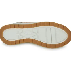 Clarks dashlite