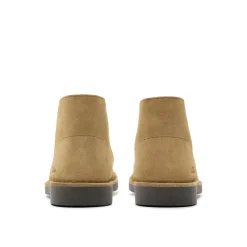 Clarks desert