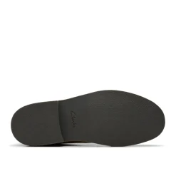 Clarks desert
