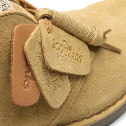Clarks desert