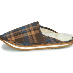 Cool shoe Home