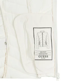 Dynejakker Guess