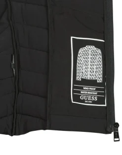 Dynejakker Guess