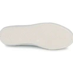 Fericelli POESIE