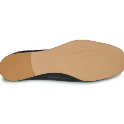 Fericelli DANA