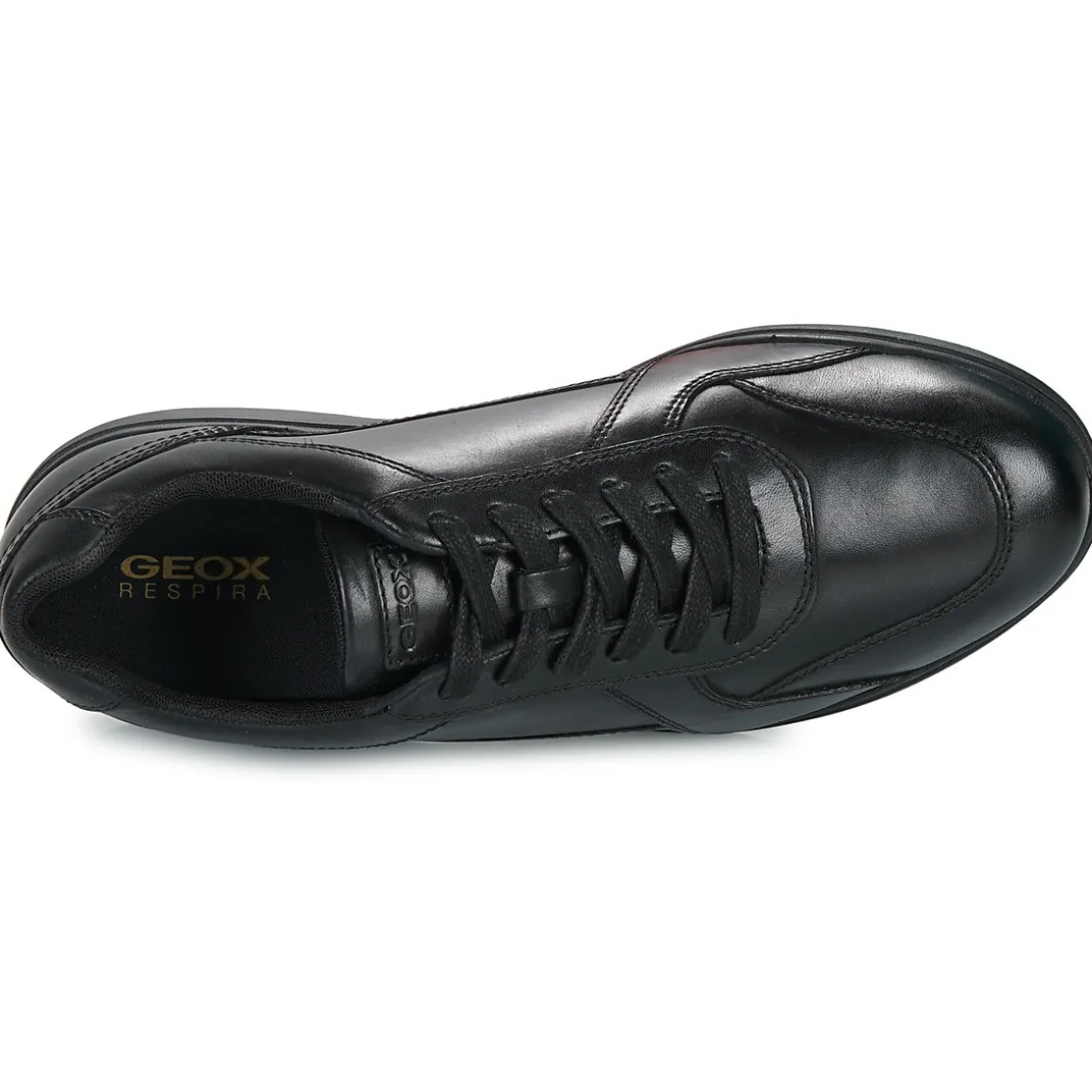 Geox SPHERICA EC12