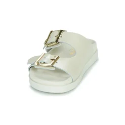 JB Martin AUDACE