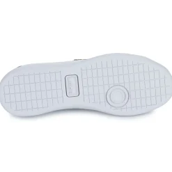 Lacoste carnaby