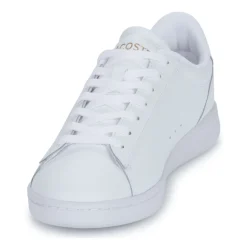 Lacoste carnaby