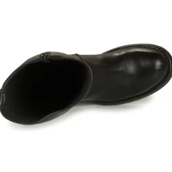 Moma MALE