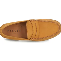Pellet BASILE