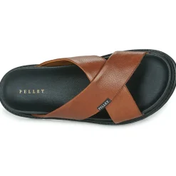 Pellet FELIPE