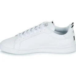 Polo Ralph Lauren SNEAKERS