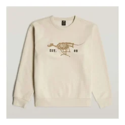 Pullovere G-Star Raw