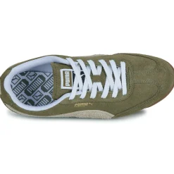 Puma ARIZONA