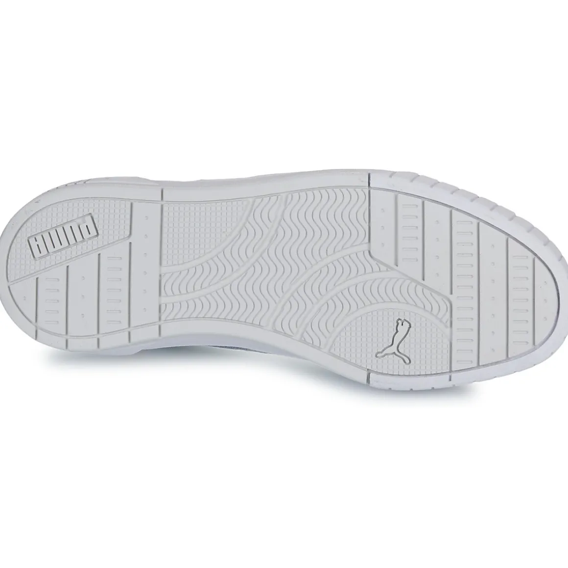 Puma CARINA