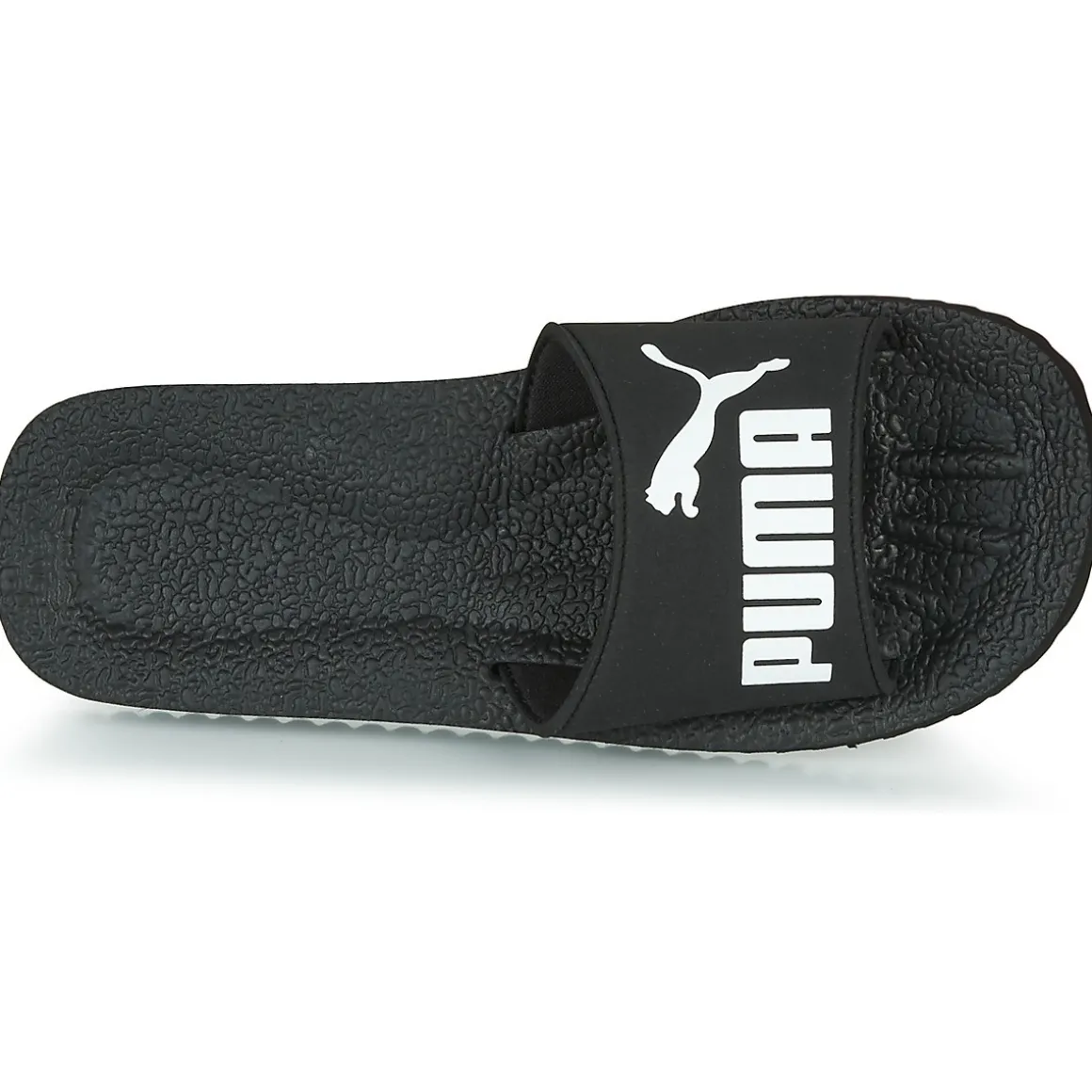 Puma Purecat