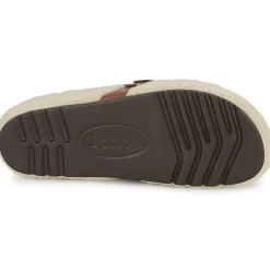 Scholl CHARLOTTE