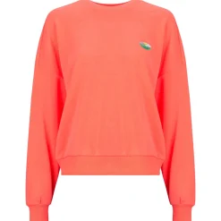 Sweatshirts Only