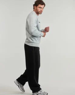 Sweatshirts Champion
