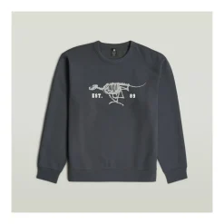 Sweatshirts G-Star Raw