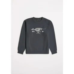 Sweatshirts G-Star Raw