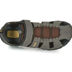 Teva FOREBAY