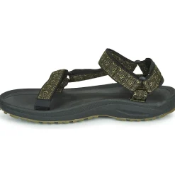 Teva Winsted
