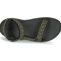 Teva Winsted