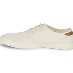 Toms CARLO