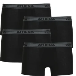 Trunks Athena