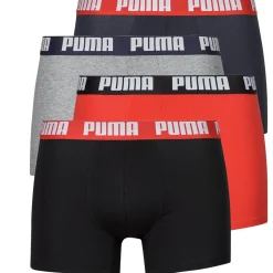 Trunks Puma