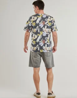 T-shirts m. korte ærmer Jack & Jones